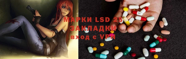 крисы Аркадак