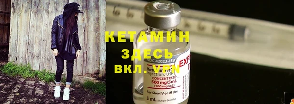 крисы Аркадак