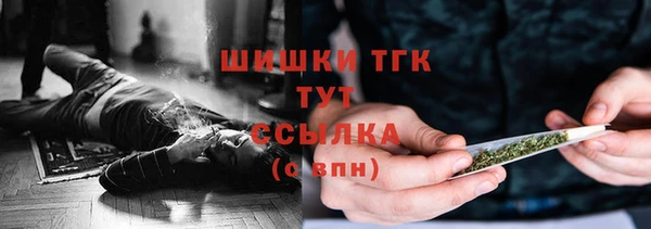 крисы Аркадак