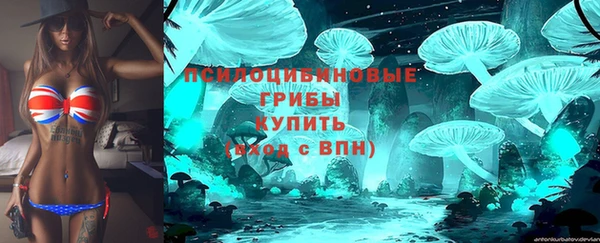 СК Арсеньев
